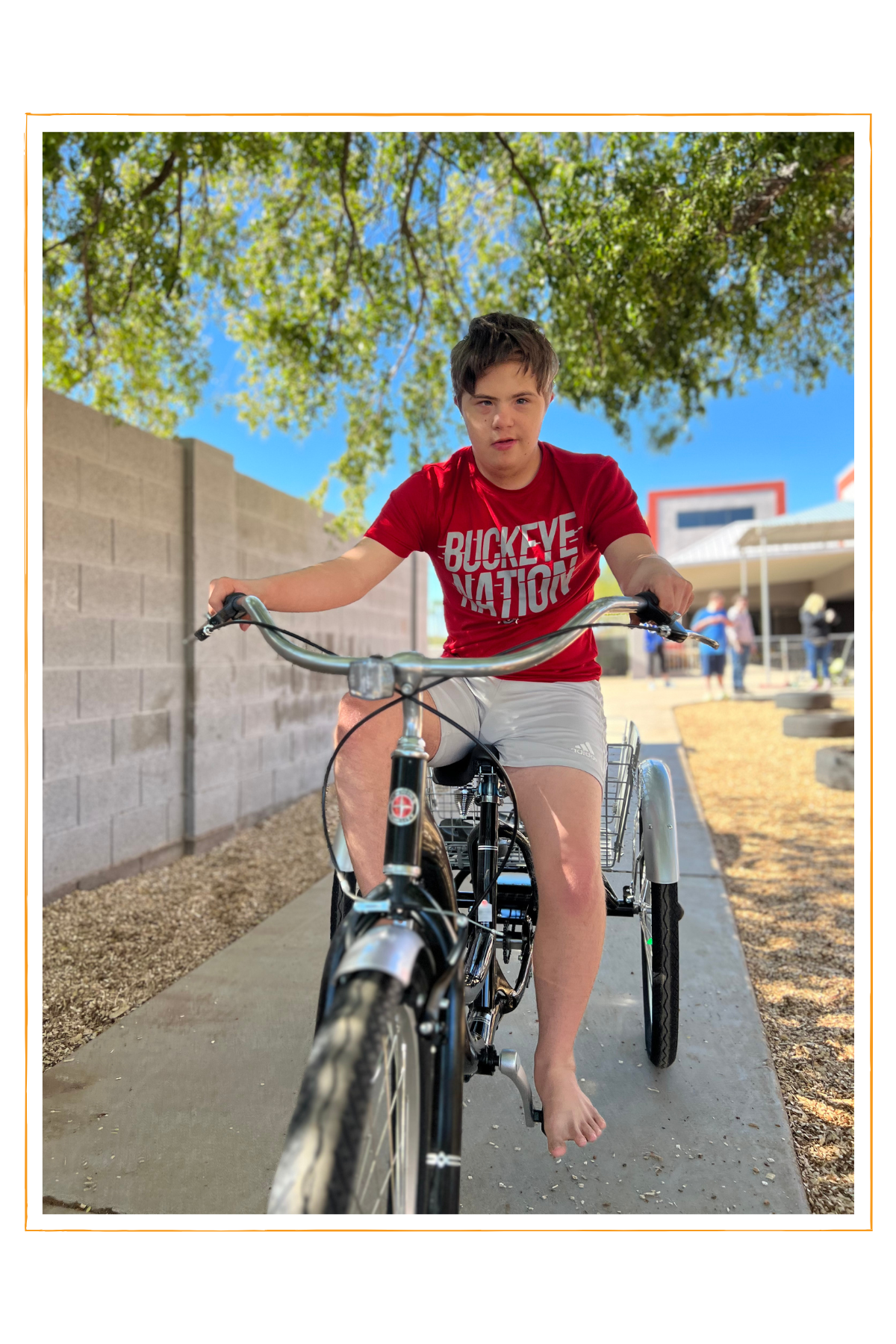 SDSA Blog: Behavioral Momentum